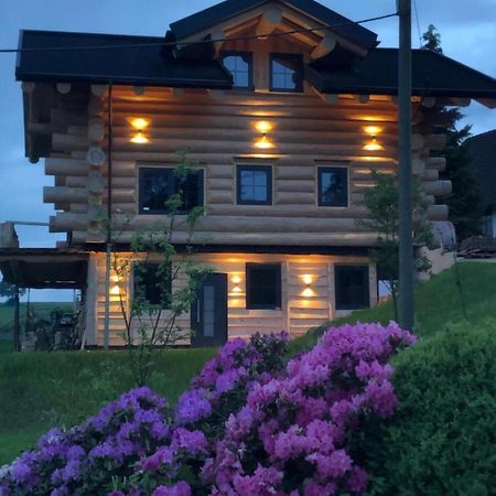 Fichtenhaus Am Wisentpfad Bad Berleburg Bagian luar foto