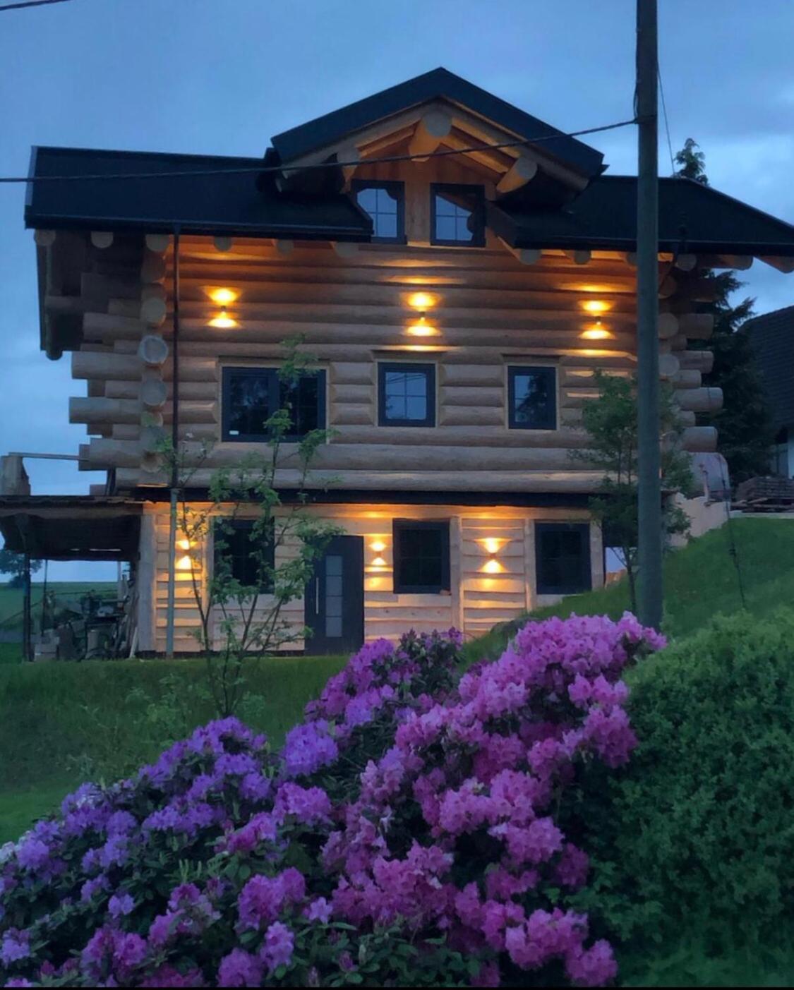 Fichtenhaus Am Wisentpfad Bad Berleburg Bagian luar foto