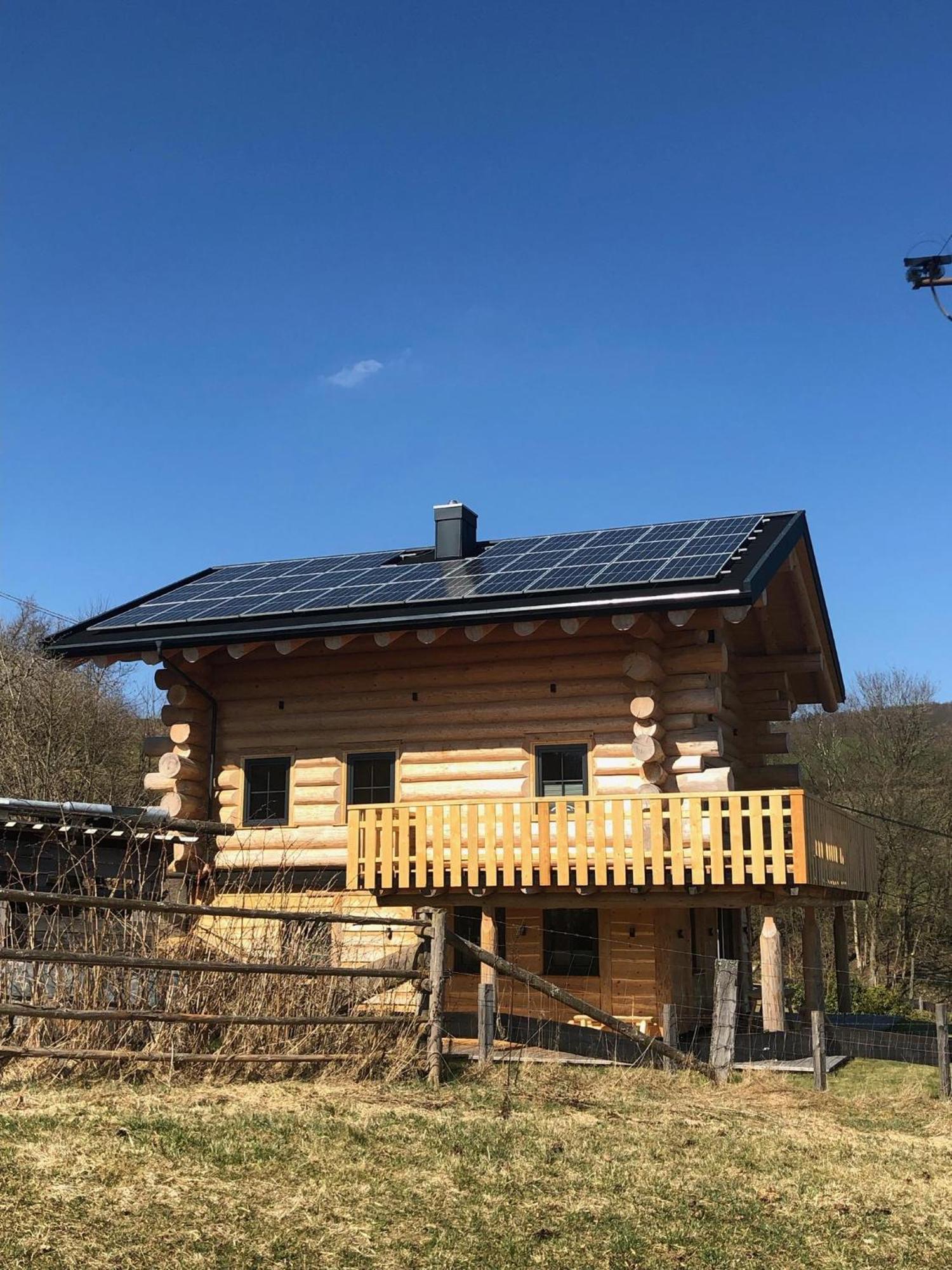 Fichtenhaus Am Wisentpfad Bad Berleburg Bagian luar foto